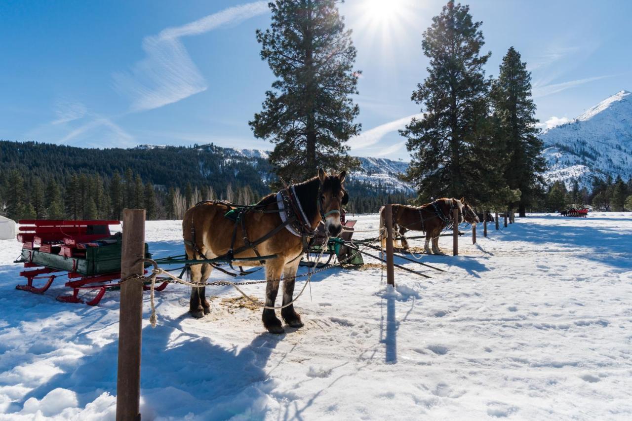 Aspen Suites 505: Enchantment Abode Левенуэрт Экстерьер фото